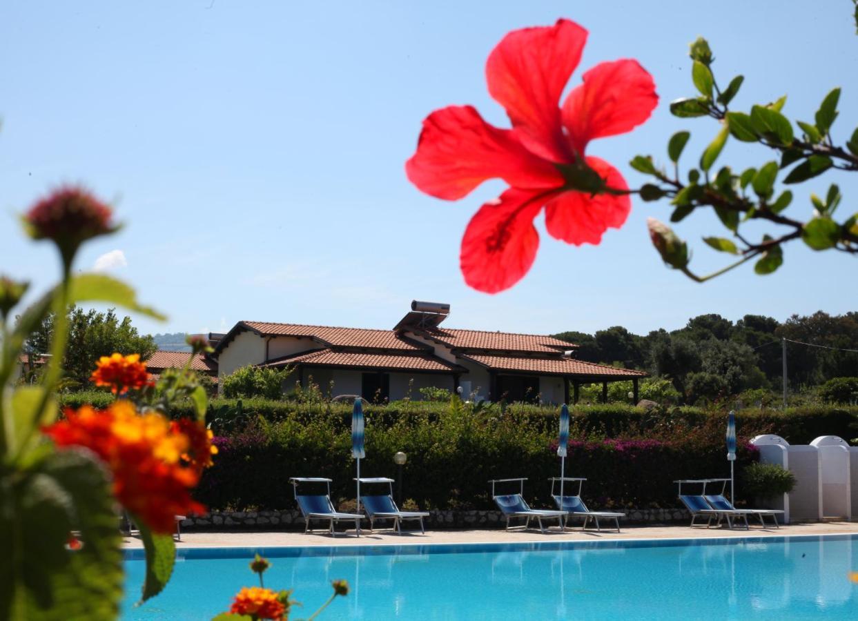 Agriturismo Ninea Ricadi Zewnętrze zdjęcie