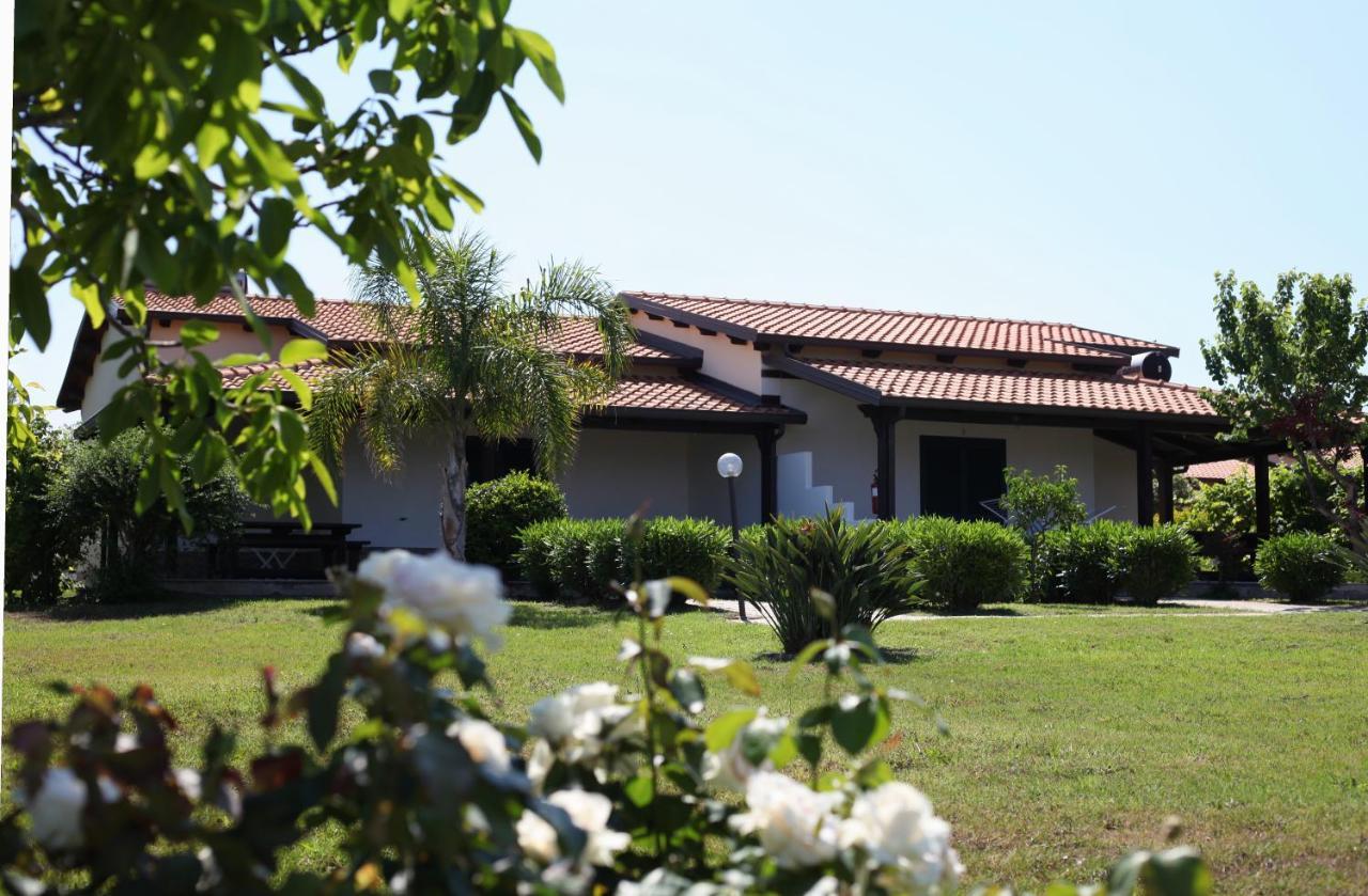 Agriturismo Ninea Ricadi Zewnętrze zdjęcie