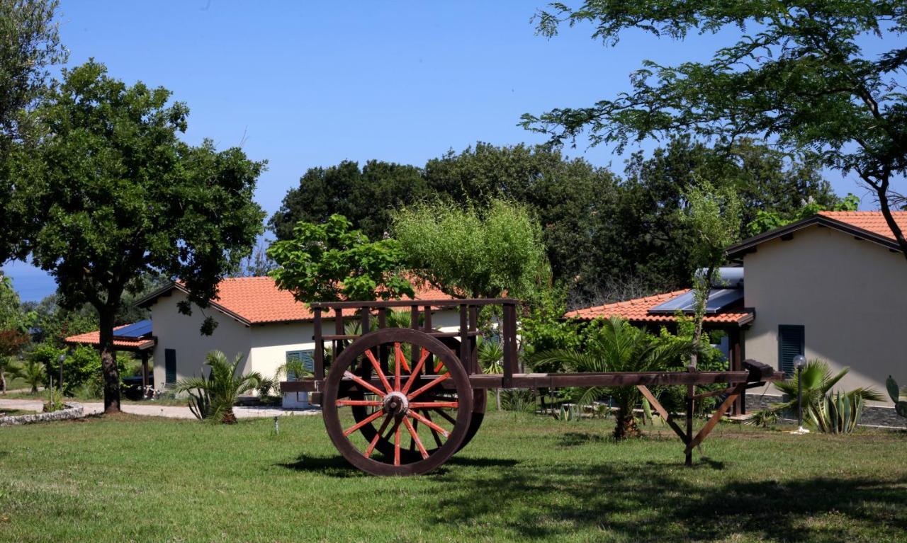 Agriturismo Ninea Ricadi Zewnętrze zdjęcie