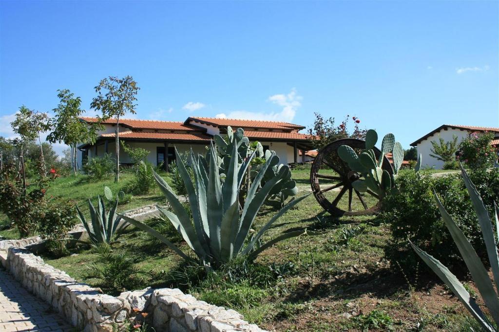 Agriturismo Ninea Ricadi Zewnętrze zdjęcie