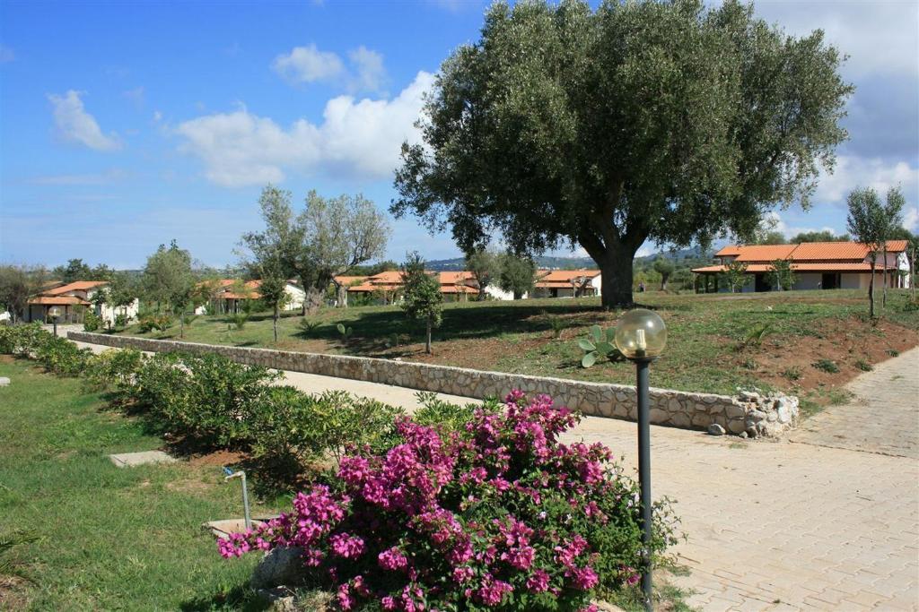 Agriturismo Ninea Ricadi Zewnętrze zdjęcie
