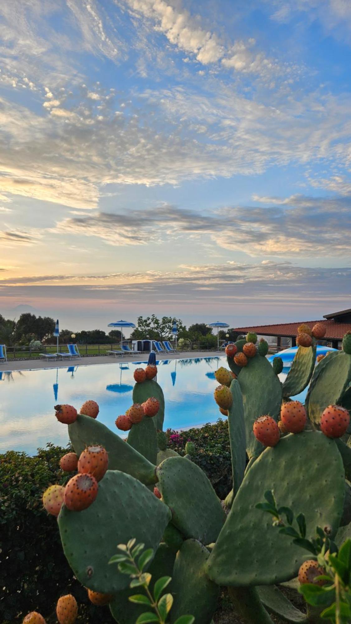 Agriturismo Ninea Ricadi Zewnętrze zdjęcie