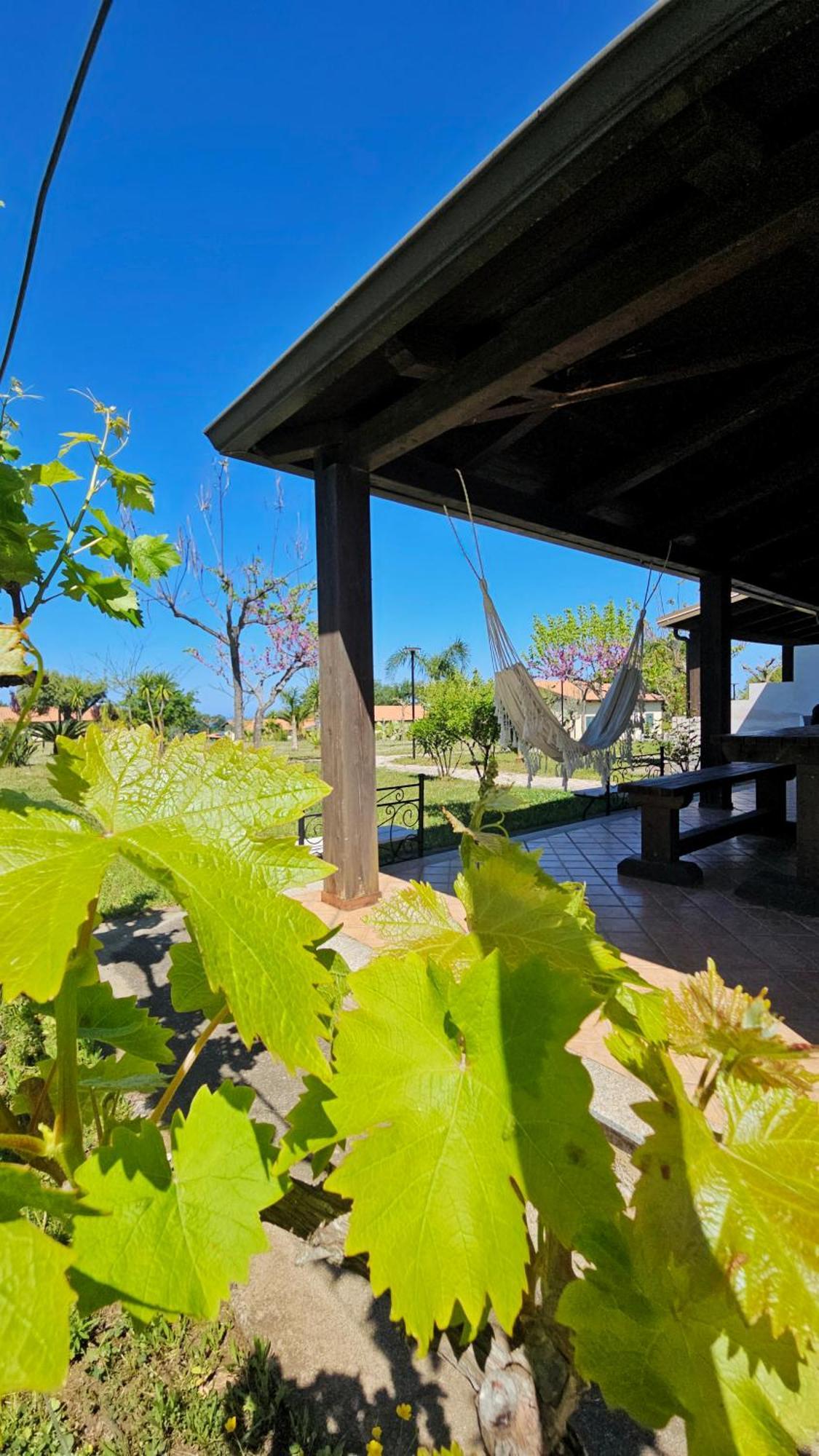 Agriturismo Ninea Ricadi Zewnętrze zdjęcie